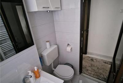APARTAMENT 2 CAMERE DECOMANDAT PODU ROS DEDEMAN - 8