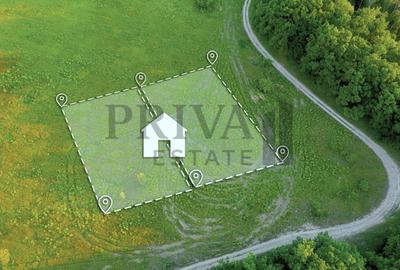 Teren intravilan 651 mp, front 16 ml, Dumbrăvița - 3