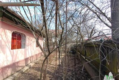 Casa taraneasca traditionala pe parter cu gradina si livada 1700mp in Gruiu, la - 6