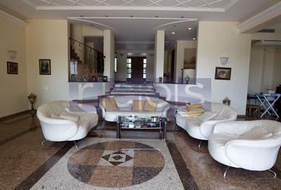 SNAGOV | VILA DE LUX CU 90M DESCHIDERE LA LAC | POZITIE EXCEPTIONALA - 37