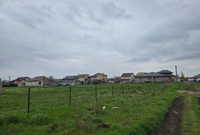 Teren de vanzare in Techirghiol lot de casa - 9