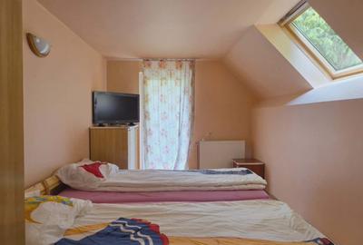 Casă/Pensiune,două imobile „într-unul singur” de vânzare,Bratca-CV0524 - 10