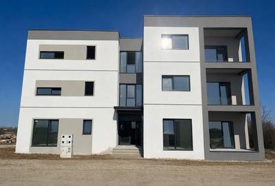 Apartament cu 2 camere decomandat în Bucovăț (Remetea Mare)