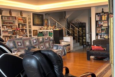 Kiseleff, proprietar vand penthouse cu vedere panoramica - 4