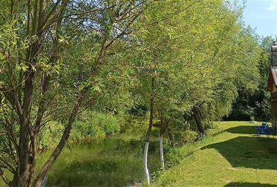 COMPLEX 5 CABANE DIN LEMN CU ACCES LA DUNARE + teren  in Podul Gornei, jud. CS - 16