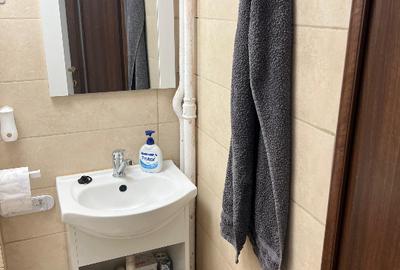 3 camere in zona Gradina Icoanei / Maria Rosetti - 13