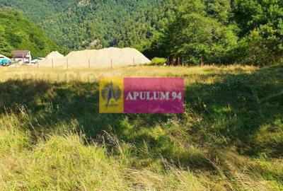 Teren Județul Vâlcea - Brezoi, Valea lui Stan - 2