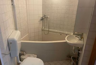 Casa D+P+M - Mosilor - Ardeleni - 15