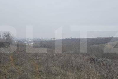 Teren intravilan, 10.000 mp, front peste 150 metri, zona Curtea Regala/Panoramic - 1