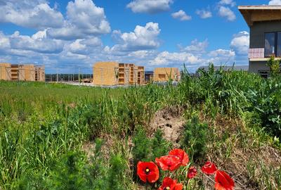 LA 20 DE MINUTE DE BUCURESTI LA TANCABESTI TEREN  LAC - 1