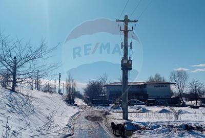 Teren 9,000mp Buftea / Strada Randunelelor - 5