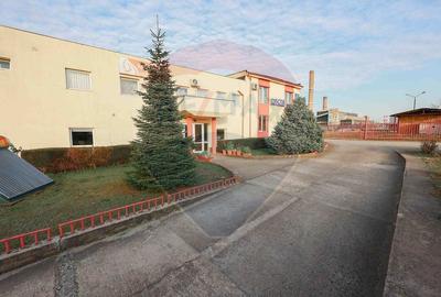Spațiu industrial /hală de vânzare în zona Vest - 17