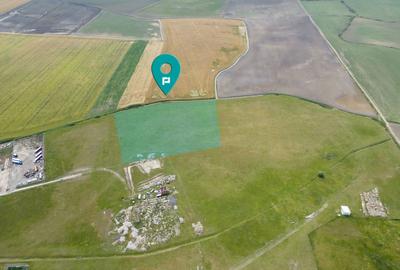 Teren intravilan de 29,970mp Sacalaz - 8