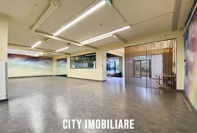 Spatiu comercial 250 mp + terasa 70 mp, Grigorescu, Parter, Ideal HoReCa   Showr - 14