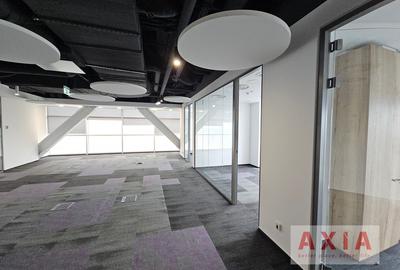 Birou premium in zona Piata Victoriei - 8