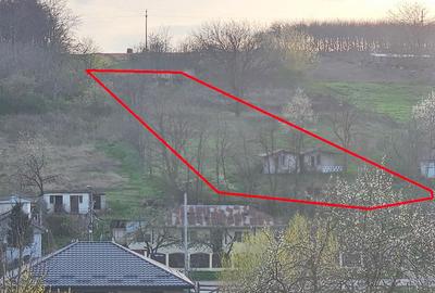Cadru natural deosebit, teren 2260 mp cu autorizatie de constructie - 8