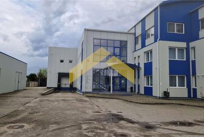 Hala industriala de vanzare in loc. Sfantul Gheorghe, jud. Covasna - 3