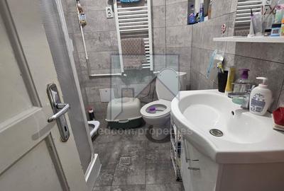 Vanzare Vila P+1 Doamna Ghica - 10