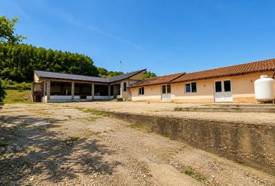 VILA IMPRESIONANTA / PROPRIETATE EXCLUSIVISTĂ - potential turistic si de afaceri - 4