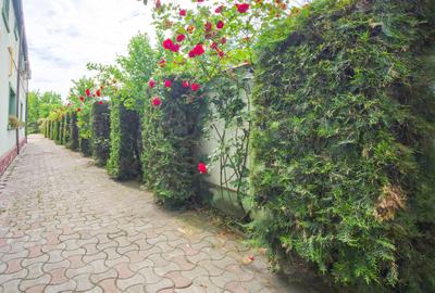 Proprietate Comercială Exclusivistă Șos. Alexandriei + 1.160 MP Teren - 33