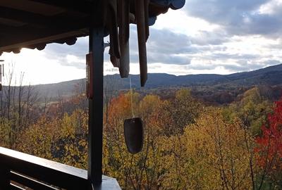 CASĂ DE VACANȚĂ ÎN COMARNIC - 10