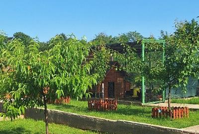 Oază de liniște și relaxare! - 3