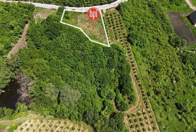 SE VINDE Teren INTRAVILAN de 1313mp si teren EXTRAVILAN de 18.687mp in RADADENI - 6