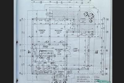 Casa spatioasa, garaj si foisor – Valea Lupului - 7