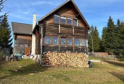 Cabana de Vis în Bălcești, Beliș, la Marginea Pădurii - 1