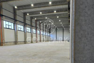 Depozit/Hala-In Park Industrial- Zona Someseni-2900 mp - 2