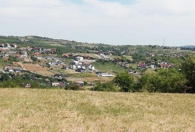 TEREN DE VANZARE SALDABAGIU DE MUNTE - 2