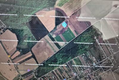 Clinceni-Ordoreanu-padure loturi  733mp - 2