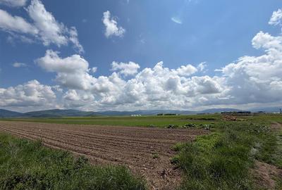 Teren agricol extravilan de 10 mp, în Prejmer