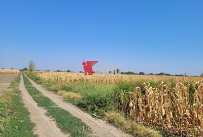Teren industrial Sag, Centura SUD, PUZ aprobat - 3