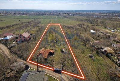 Teren Paulesti - 3600 mp - Utilitati Disponibile - Deschidere 24 m - 1