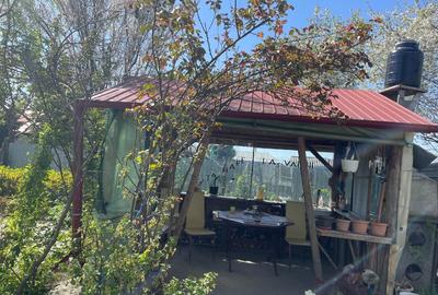 Vand teren cu casa, livada si vie - 2