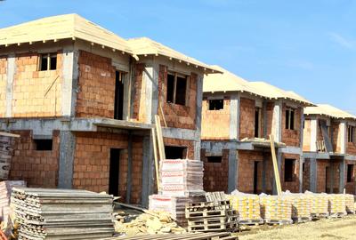 Vile individuale padurea Rosu - 15