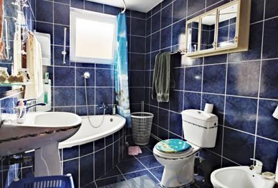 COMISION 0% Spatiu prestari servicii+2 apartamente+garaj+2 terase+520mp teren - 11