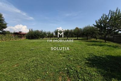 Complex industrial  cu teren 18,672 mp Târgu Lăpuș - 26