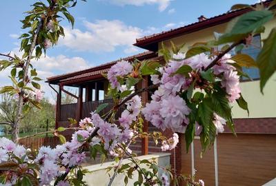 Casa individuala cu teren 750mp, garaj, beci, terasa - Dezmir, zona centrala - 16