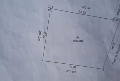 FARA COMISIOANE in Joita aproape de drumul asfaltat teren de 4600mp merita vazut - 7