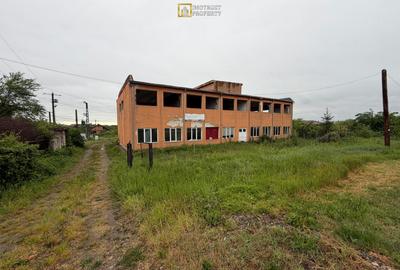 Hală industrială de vânzare – Sebiș, jud. Arad - 4