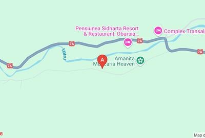 2 terenuri in zona Obarsia Lotrului - 1