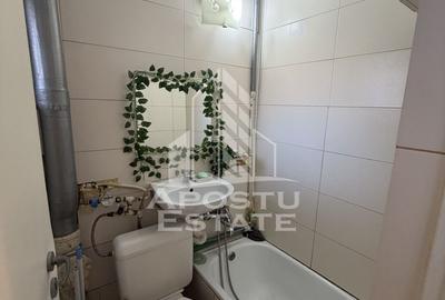 Garsonieră, renovată , 25 mp, Pet Friendly , Cetatii - 5