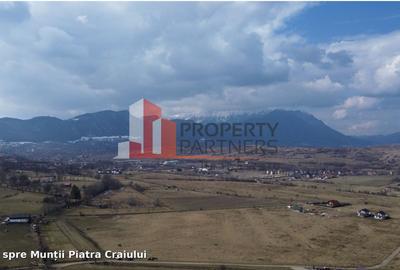 Teren intravilan 1.495 mp | Bran- Tohanul Nou | Vedere Bucegi | Deschidere 45 m - 8