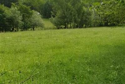 TEREN DE VANZARE 500O MP PUNCT CHETRIS CERDAC SLANIC MOLDOVA - 3