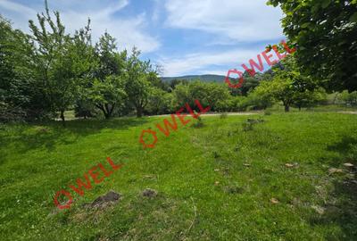 De vânzare teren intravilan în localitatea Scrădoasă! - 4
