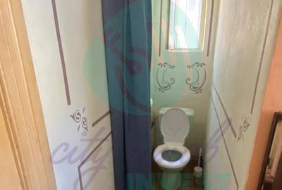 Vilă în Cotroceni | Curte proprie | Gradina Botanică-Palat-Carol Davilla - 8