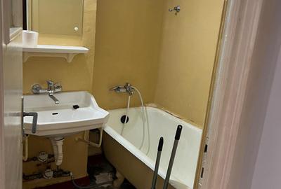 Inchiriere apartament 2 camere - Zona Centrala, Vis-a-vis de Palatul Culturii - 13