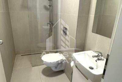 Apartament de inchiriat, modern cu terasa de 60 mp, Aradului,Timisaora - 9